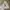Polo Ralph Lauren Vintage Y2K Hoody Pria gray photo 1