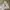 Polo Ralph Lauren Vintage Y2K Hoody Pria Gray