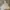 Polo Ralph Lauren Vintage Y2K Hoody Pria gray photo 2