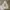 Polo Ralph Lauren Vintage Y2K Hoody Pria gray photo 1