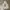 Polo Ralph Lauren Vintage Y2K Hoody Pria Gray