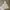 Polo Ralph Lauren Vintage Y2K Hoody Pria gray photo 2