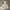 Polo Ralph Lauren Vintage Y2K Hoody Pria Gray