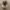 Vintage Grunge Hat Pria tan brown photo 3