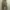 Dickies Skater Casual Casual pants Pria tan khaki photo 1