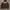 Stussy Vintage Streetwear Hoody Pria brown photo 2