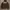 Stussy Vintage Streetwear Hoody Pria Brown