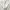 Vintage Coquette Cardigan Wanita white black photo 5