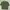 COLORBOX Minimalist Crop top Wanita green photo 1