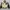 Vintage Streetwear Leather jacket Pria white black photo 5