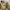 Columbia Streetwear Y2K Fur coat Pria tan khaki photo 3
