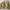 Columbia Streetwear Y2K Fur coat Pria tan khaki photo 6