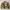 Columbia Streetwear Y2K Fur coat Pria tan khaki photo 1