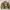 Columbia Streetwear Y2K Fur Coat Pria Tan Khaki