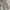 Columbia Streetwear Y2K Fur coat Pria tan khaki photo 7