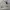 Minimalist Casual Windbreaker Pria white photo 2