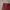 Streetwear Casual Jeans Pria red photo 4