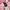 Shein Y2K Coquette Skirt Wanita White Pink
