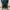 Casual Stroller Kids green blue photo 3