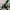 Casual Stroller Kids green blue photo 5
