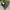 Adidas Casual Sneakers Wanita black photo 2