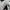 Converse Casual Sneakers Pria white black photo 6