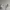 H&M Lolita Casual Crop top Wanita white photo 2