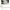 Adidas Sportswear Sneakers Wanita White Cream