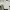 Minimalist Crop top Wanita cream photo 3