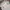 Casual Bralette Wanita white photo 1