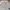 Casual Bralette Wanita multicolor white photo 3