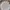 Casual Bralette Wanita multicolor white photo 1