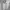 Life Work Luxury Minimalist Hoody Pria white black photo 1
