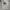 LMC Luxury Minimalist Hoody Pria white black photo 2