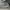 Skechers Sportswear Casual Sneakers Wanita gray photo 7