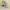 Skechers Sportswear Casual Sneakers Wanita gray photo 4
