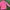 Vintage Fairy Blazer Wanita pink photo 1