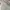 Streetwear Casual Windbreaker Pria gray photo 5