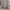 Streetwear Casual Windbreaker Pria gray photo 2