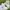 Converse Streetwear Casual Sneakers Wanita white photo 2