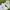 Converse Streetwear Casual Sneakers Wanita White