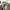 Adidas Indie Casual Sneakers Pria tan gray photo 3