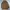 Fieldcore Casual Windbreaker Pria brown photo 6