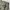 Y2K Jeans Pria gray photo 4