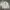 C.P. Company Casual Track jacket Pria cream photo 1
