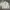 C.P. Company Casual Track Jacket Pria Cream