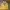 Nike Vintage Y2K Jersey Pria Yellow