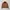Dickies Vintage Streetwear Track jacket Pria brown photo 1