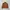 Dickies Vintage Streetwear Track jacket Pria brown photo 3