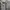 Dickies Streetwear Fleece Pria gray photo 4